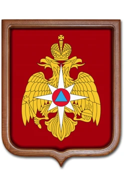 Купить Герб МЧС РФ размер 53х61 печатный рамка светлое дерево