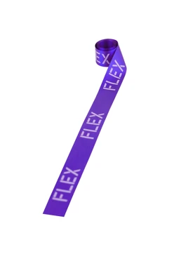 Купить ленту сатин ширина 2,5 см фиолетовая, печать серебром с одной стороны