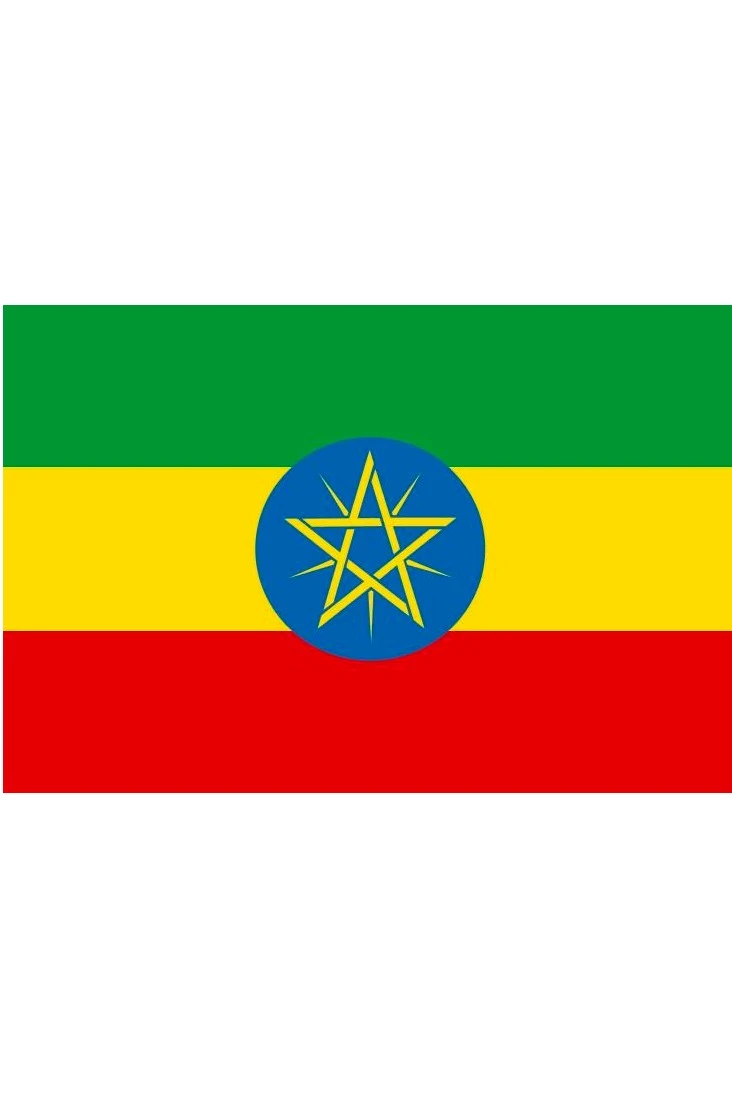 Купить флажок Эфиопии 11х22 см