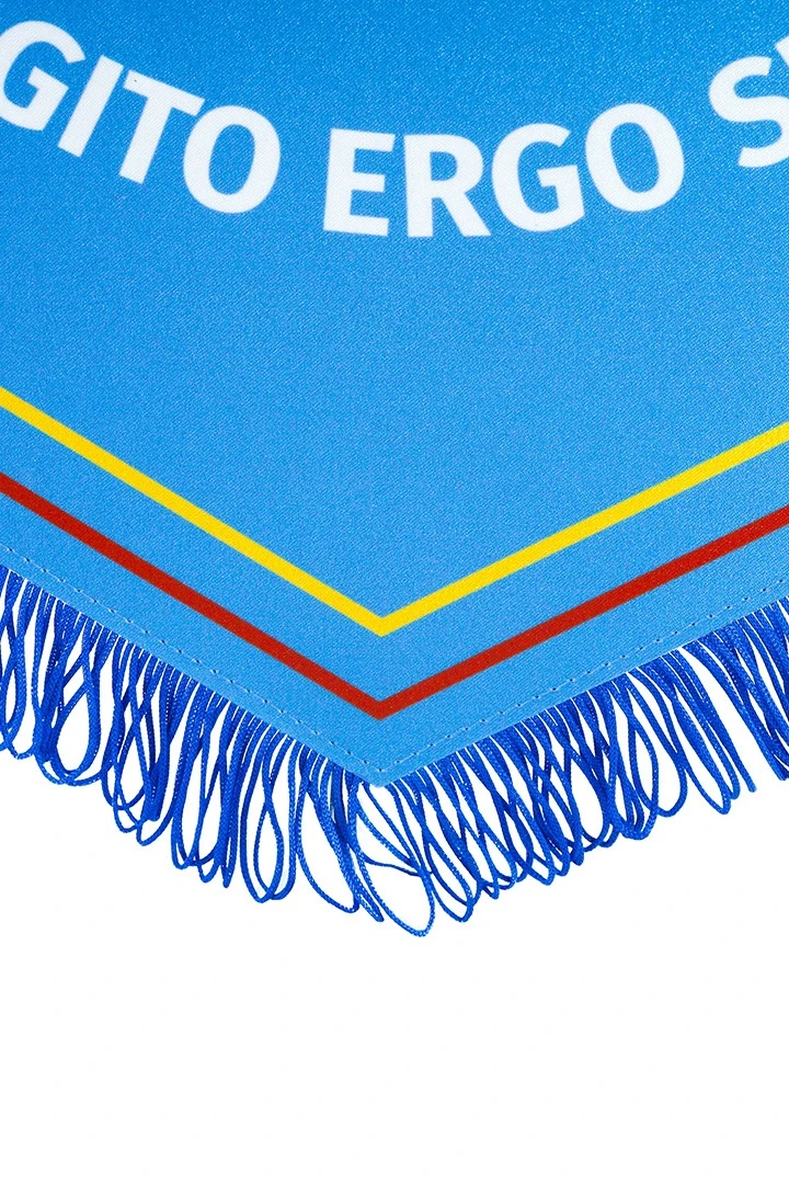 Вымпел Угол печатный с бахромой, 30х40 см#2