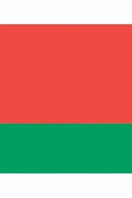 Флажок Белоруссии#2