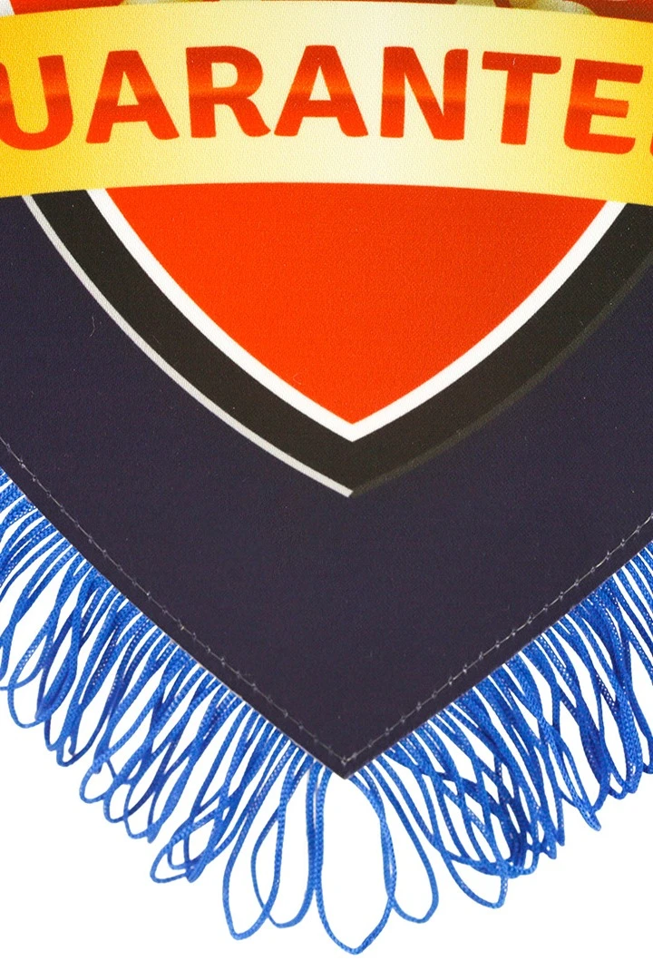 Вымпел Щит печатный с бахромой, 20х30 см#2