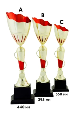 Купить кубок ИК0006 Купить кубок ИК0006