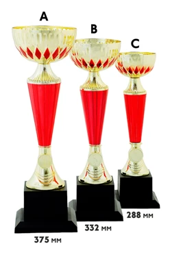 Купить кубок ИК0011 Купить кубок ИК0011