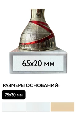 Шильд прямоугольный 65х20 мм#1