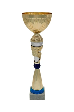 Кубок ИК0071#1 Кубок ИК0071#1