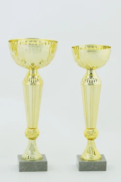 Кубок ИК0019#1 Кубок ИК0019#1