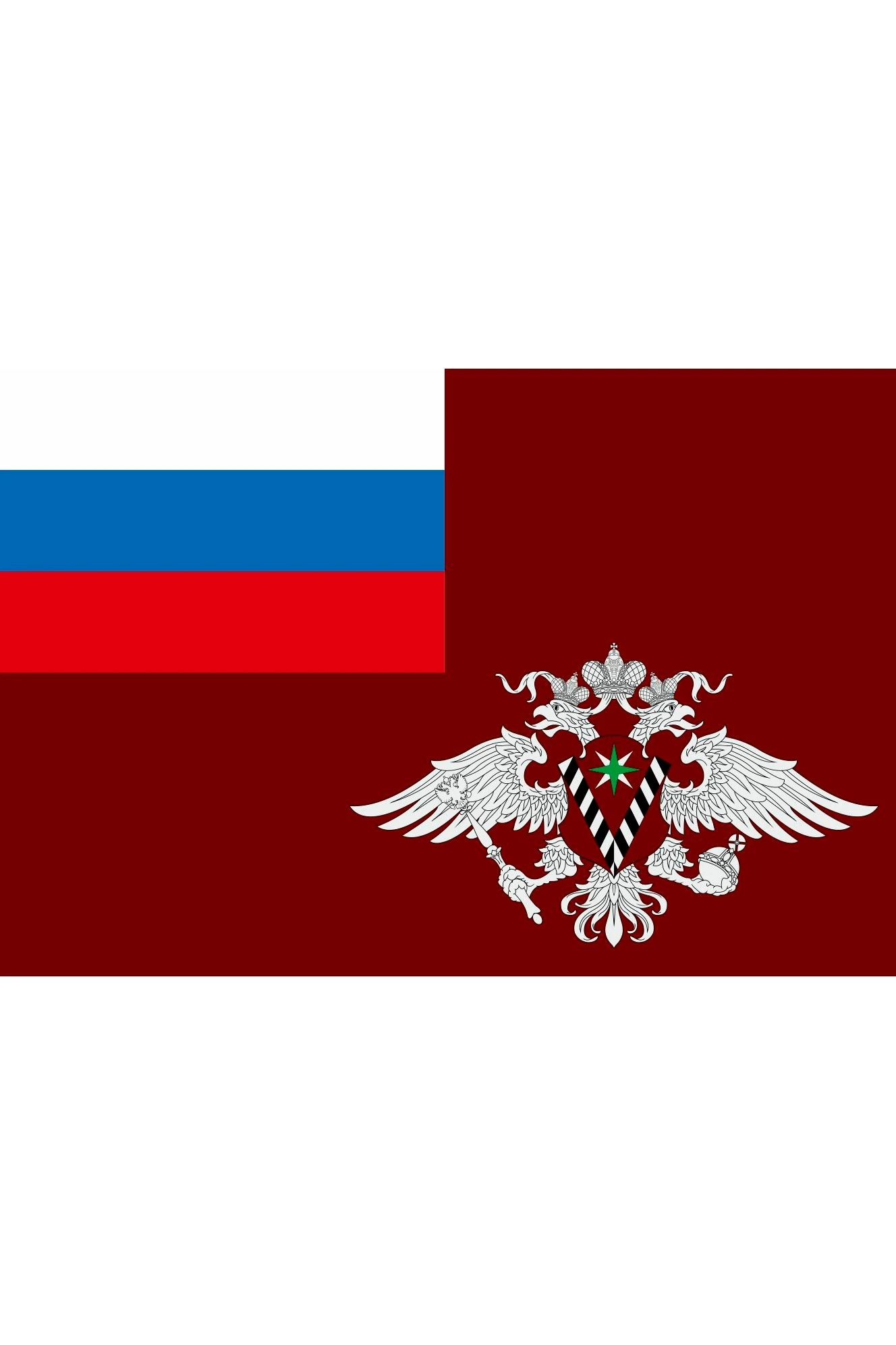 Купить флажок ФМС РФ